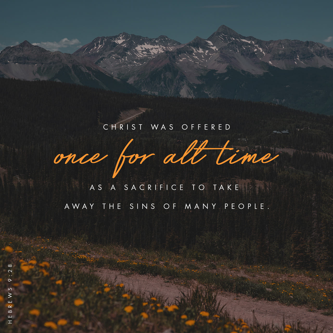 Hebrews 9:27-28 And as it is appointed unto men once to die, but after this the judgment: so Christ was once offered to bear the sins of many; and unto them that look for him shall he appear the second time without s | King James Version (KJV) | Download 