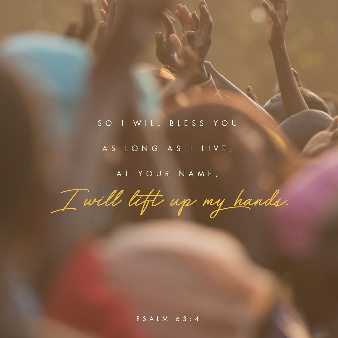 Psalms 63 3 4 Because Your Love Is Better Than Life My Lips Will 