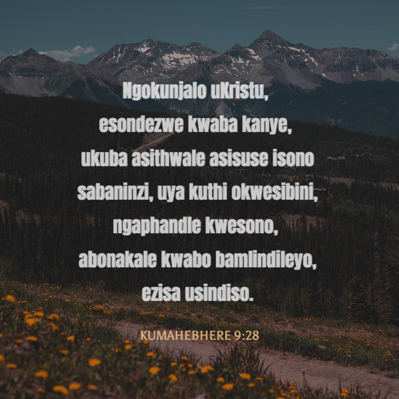 Ahtapot jinsiy aloqa video