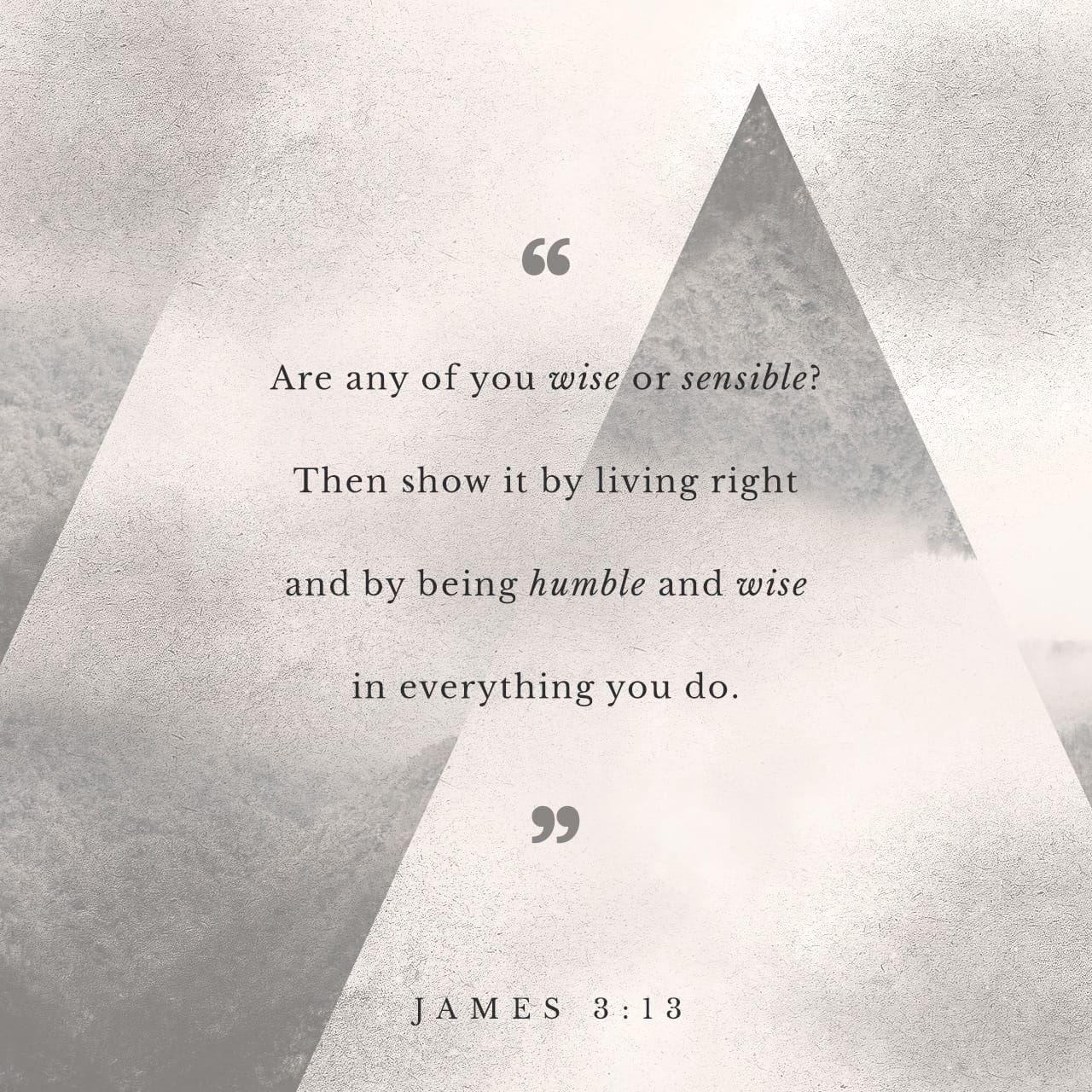 james 3 18 niv
