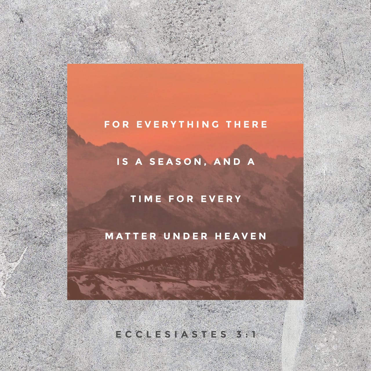 Ecclesiastes 3:1-11 There is a time for everything, and a season for every  activity under the heavens: a time to be born and a time to die, a time to  plant and