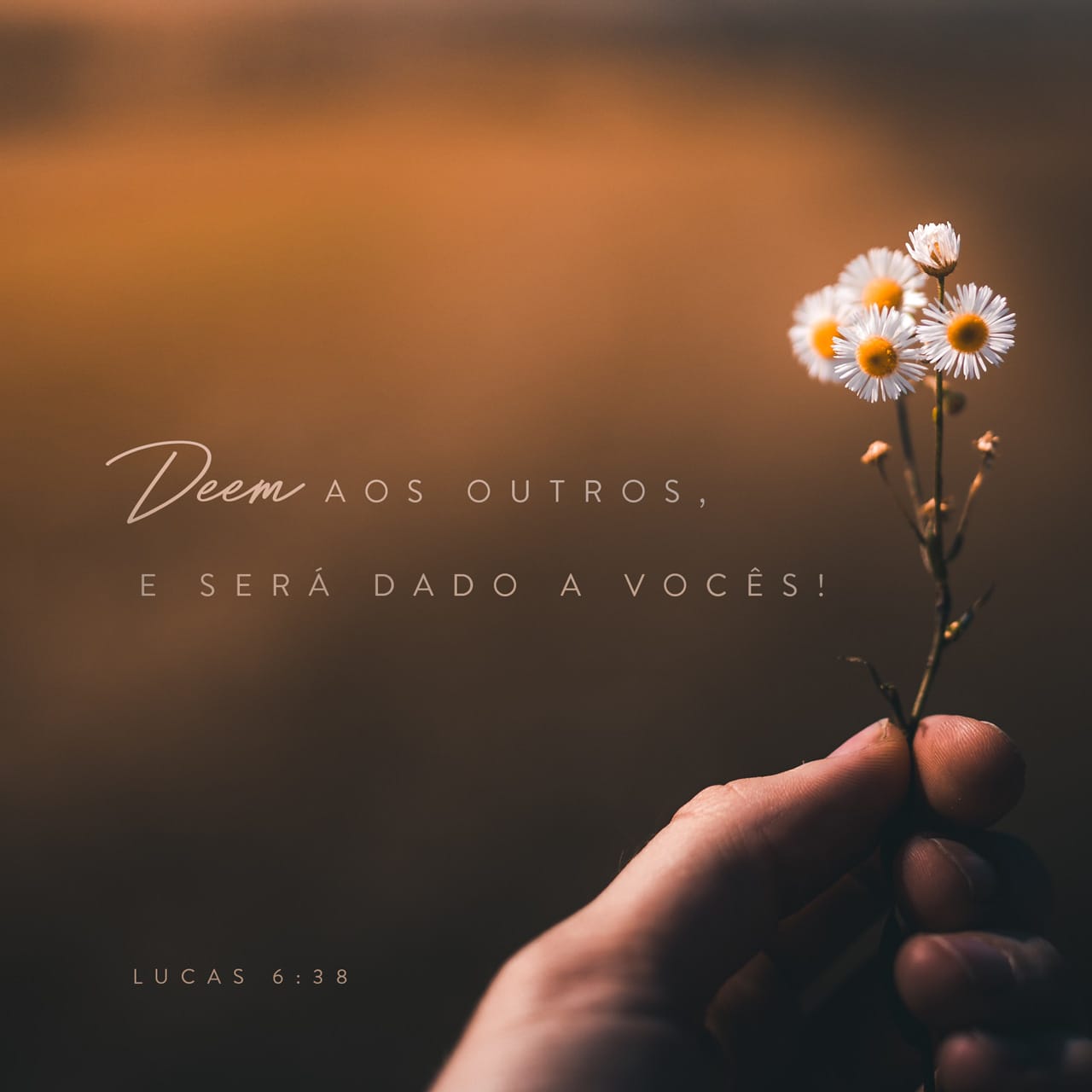Lucas 6:38-39 Deem, e será dado a vocês: uma boa medida, calcada ...