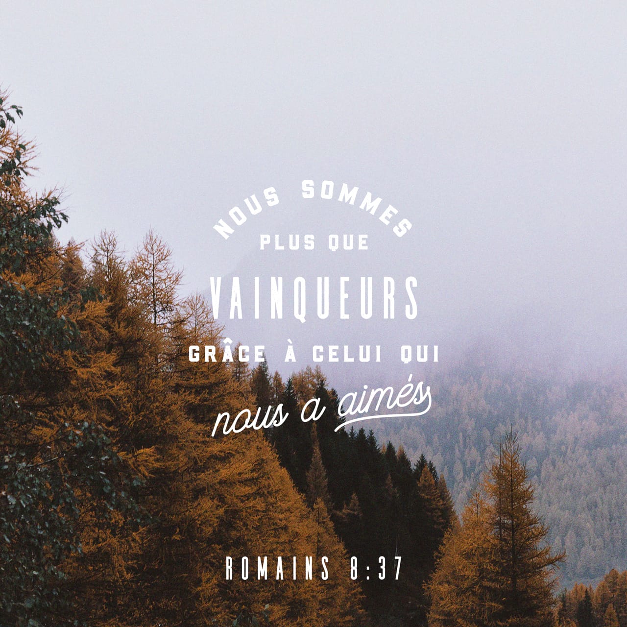 Romains 8:37 Mais dans toutes ces choses nous sommes plus que vainqueurs  par celui qui nous a aimés. | Nouvelle Edition de Genève 1979 (NEG79) |  Download The Bible App Now