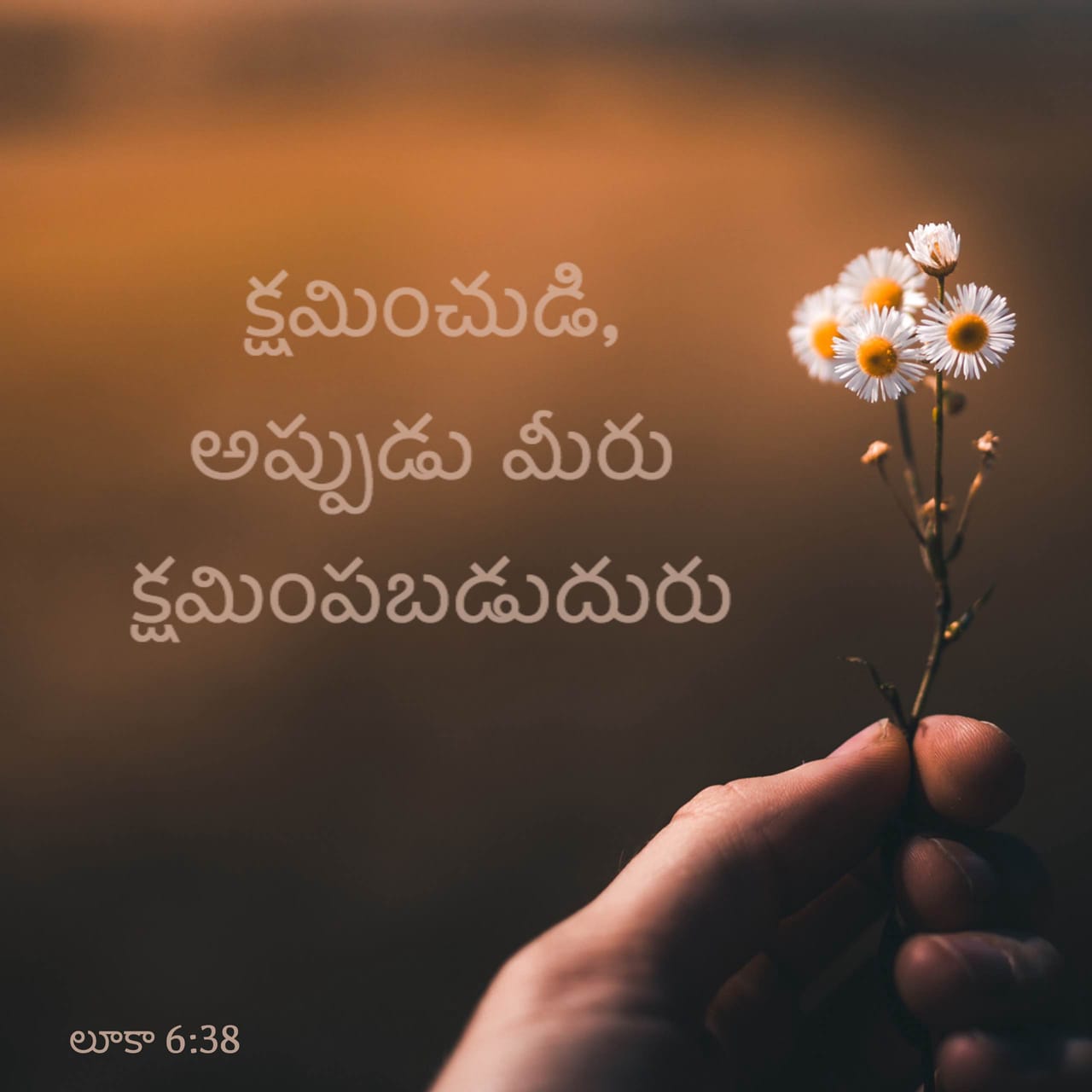 📝అనుదిన వాక్యము - ShareChat