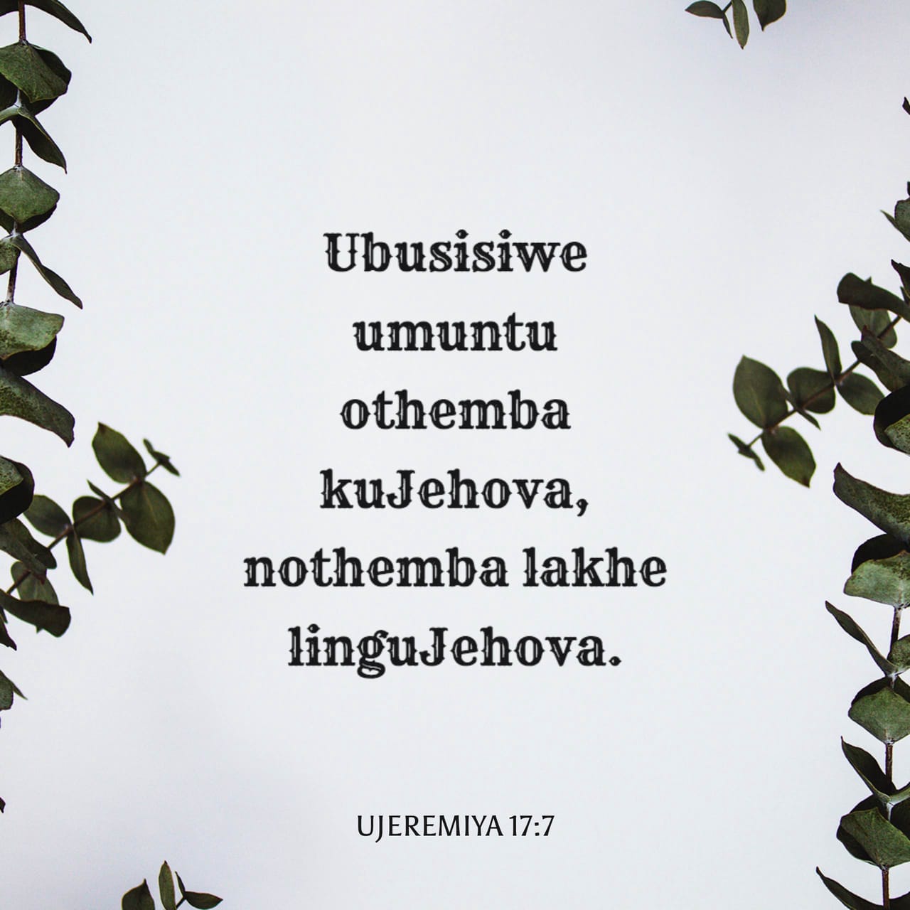 ujeremiya-17-7-8-ubusisiwe-umuntu-othemba-kujehova-nothemba-lakhe