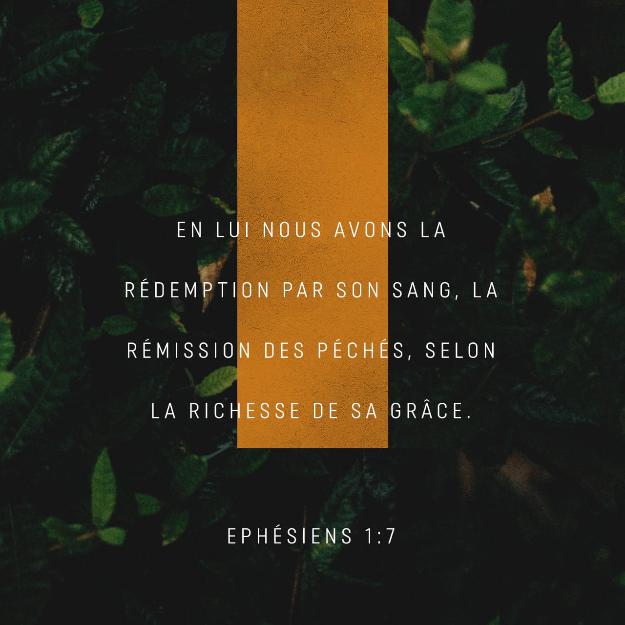 Éphésiens 1:3-12 Louons Dieu, le Père de notre Seigneur Jésus-Christ ...