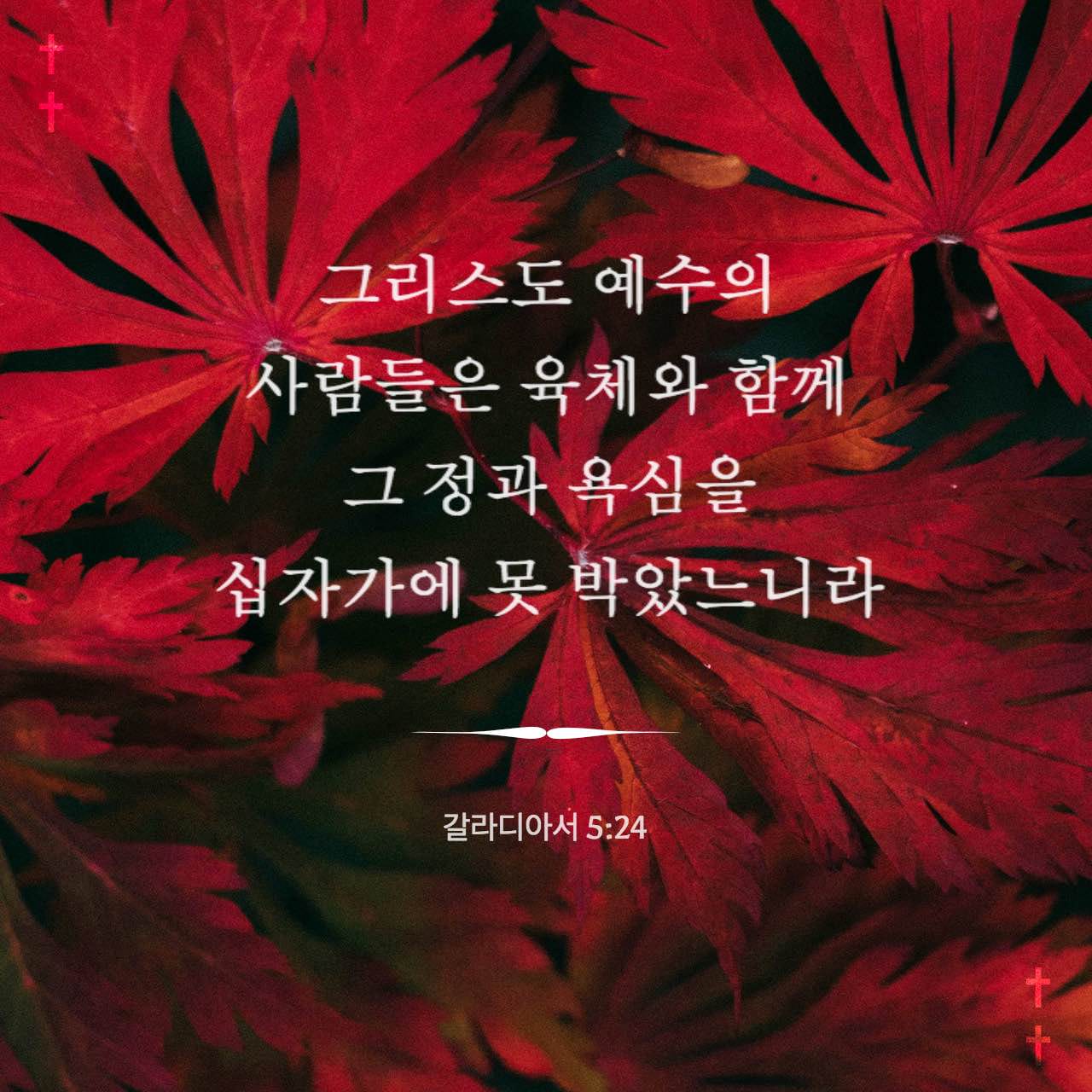 갈라디아서 5:22-26 오직 성령의 열매는 사랑과 희락과 화평과 오래 참음과 자비와 양선과 충성과 온유와 절제니 이같은 것을 금지할 법이 없느니라 그리스도 예수의 사람들은 육체와 함께 그 정과 욕심을 십자가에 못 박았느니라 만일 우리가 성령으로 살면 또한 성령으로 행할찌니 헛된 영광을 구하여 서로 격동하고 서로 투기하지 말찌니라 | 개역한글 (KRV) | 지금 성경 앱 다운로드