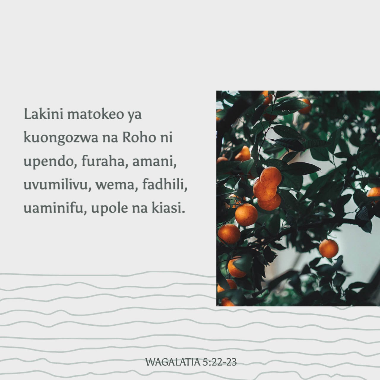 Tovonimni hidladim, badbo‘y oyoqlarimni yaladim.