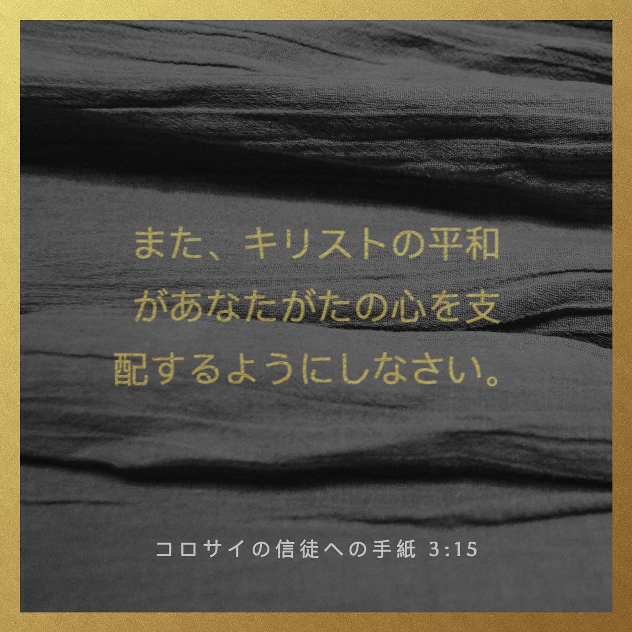 コロサイ人への手紙 3:14-15 Verse Image - Bible App
