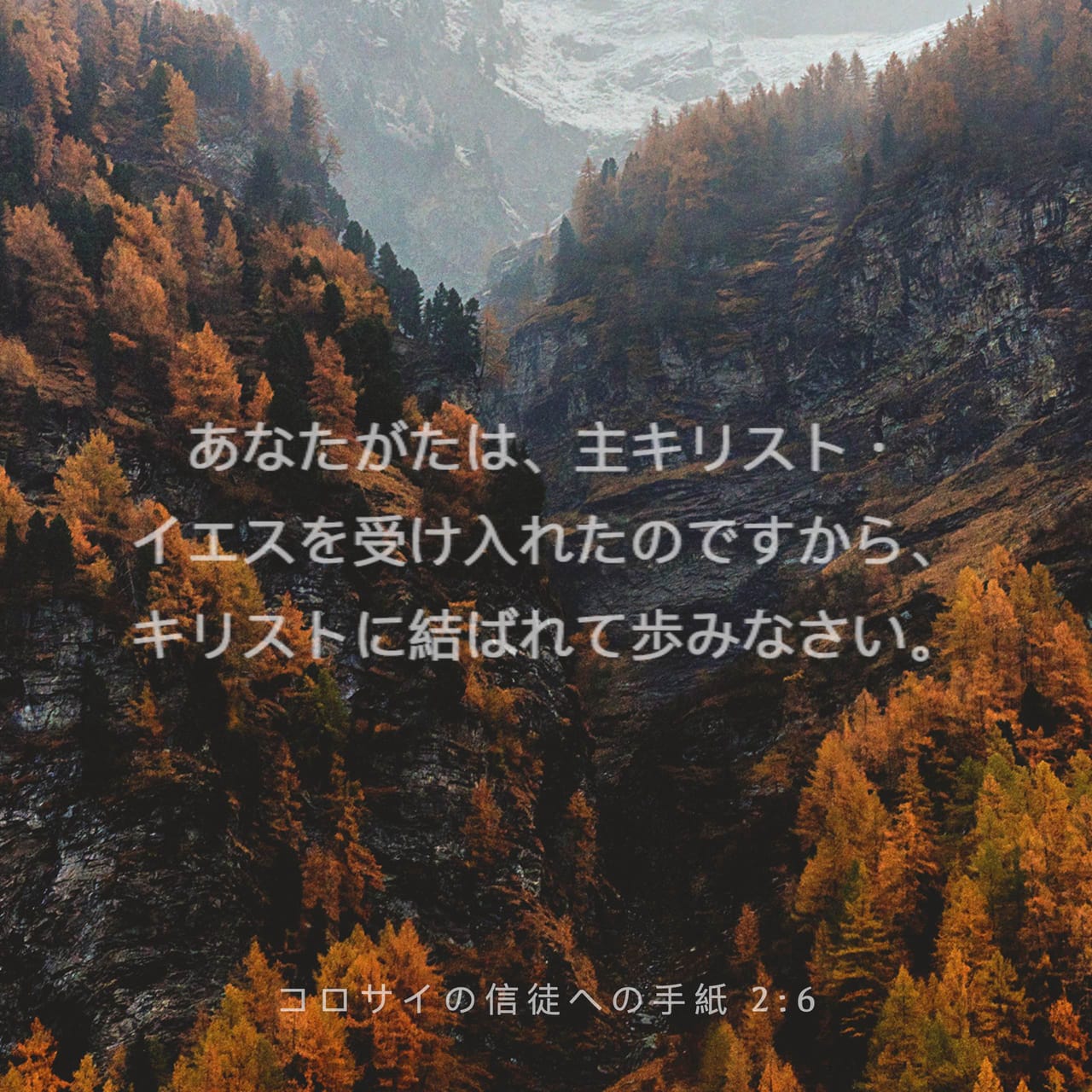コロサイの信徒への手紙 2 6 7 あなたがたは 主キリスト イエスを受け入れたのですから キリストに結ばれて歩みなさい キリストに根を下ろして造り上げられ 教えられたとおりの信仰をしっかり守って あふれるばかりに感謝しなさい Seisho Shinkyoudoyaku 聖書