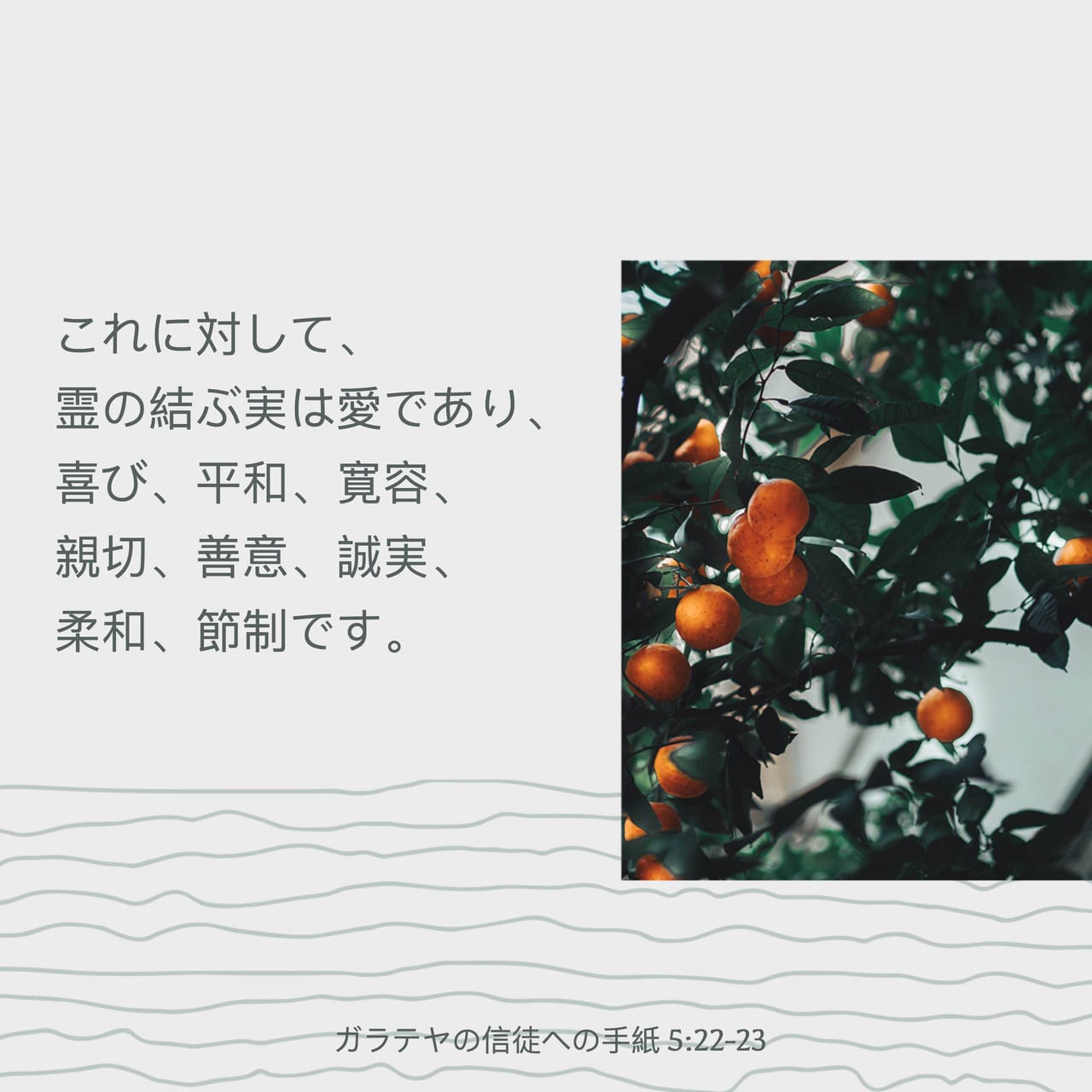 ガラテヤ人への手紙 5:22-23 (JA1955) - しかし、御霊の実は、愛、喜び