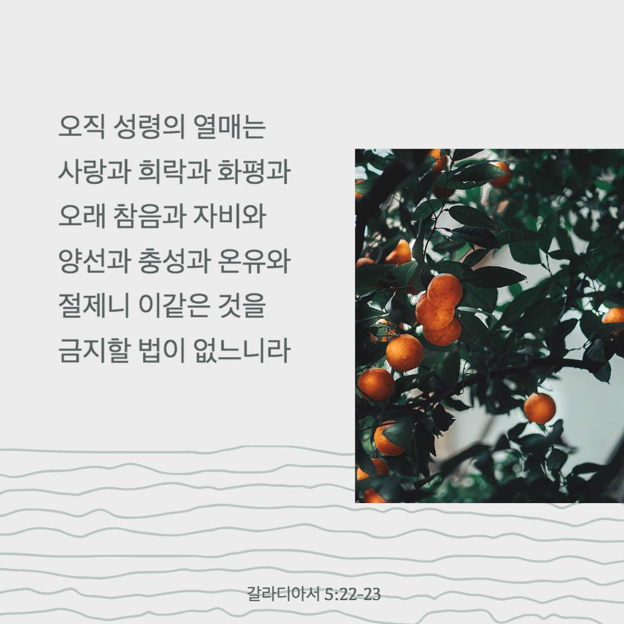 갈라디아서 5:22-23 오직 성령의 열매는 사랑과 희락과 화평과 오래 참음과 자비와 양선과 충성과 온유와 절제니 이같은 것을 금지할 법이 없느니라 | 개역한글 (KRV) | 지금 성경 앱 다운로드