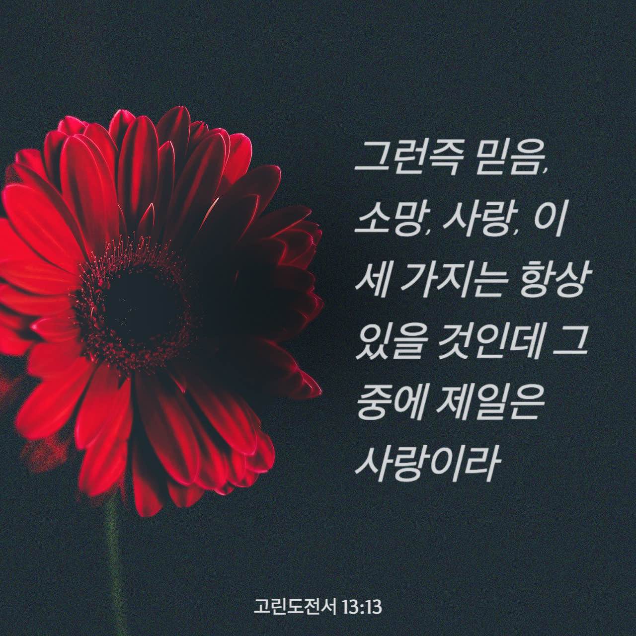 고린도전서 13:13 - 모든 번역본 비교 - Bible App