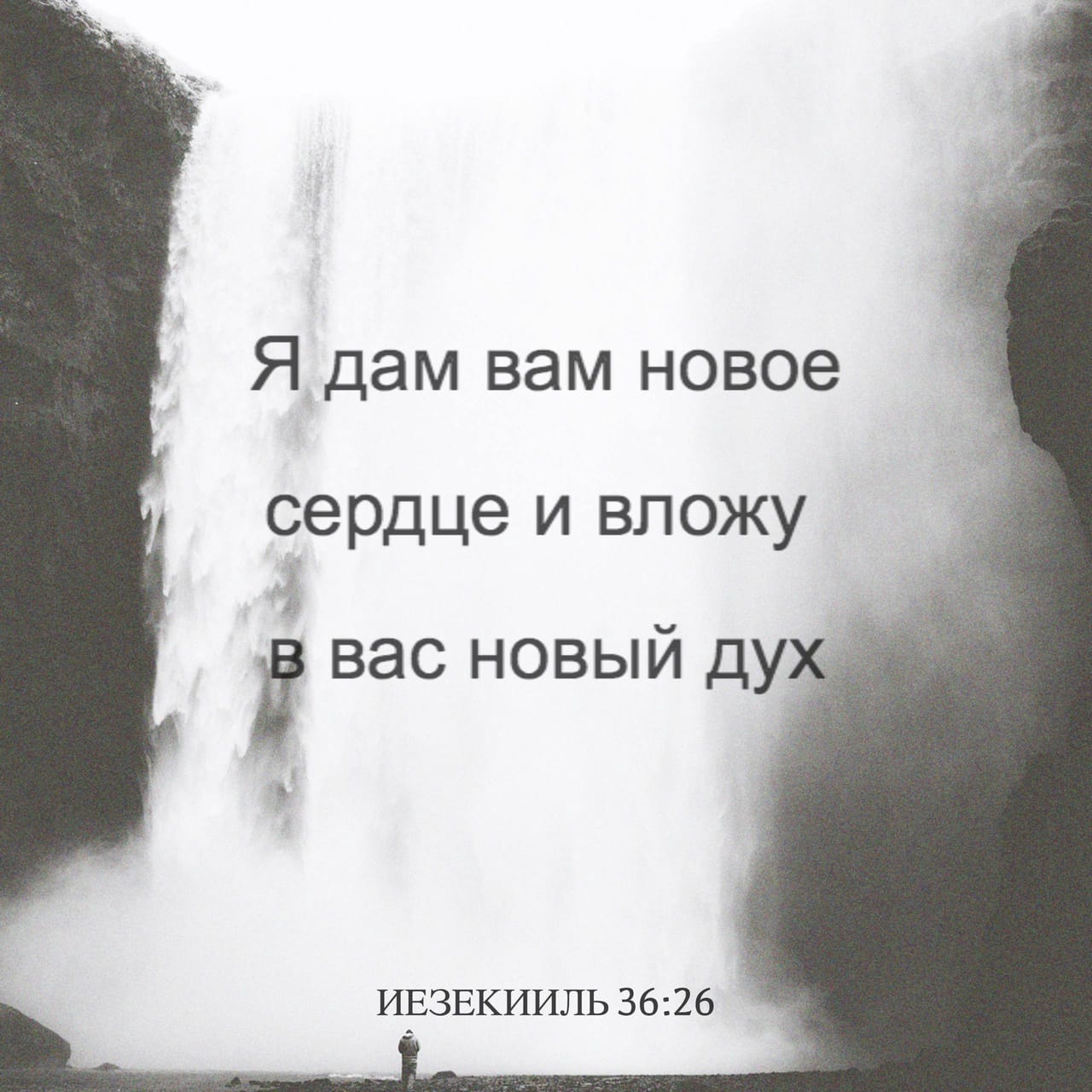 Книга пророка Иезекииля 36:25-38 И окроплю вас чистою водою, и вы  очиститесь от всех скверн ваших, и от всех идолов ваших очищу вас. И дам  вам сердце новое, и дух новый дам