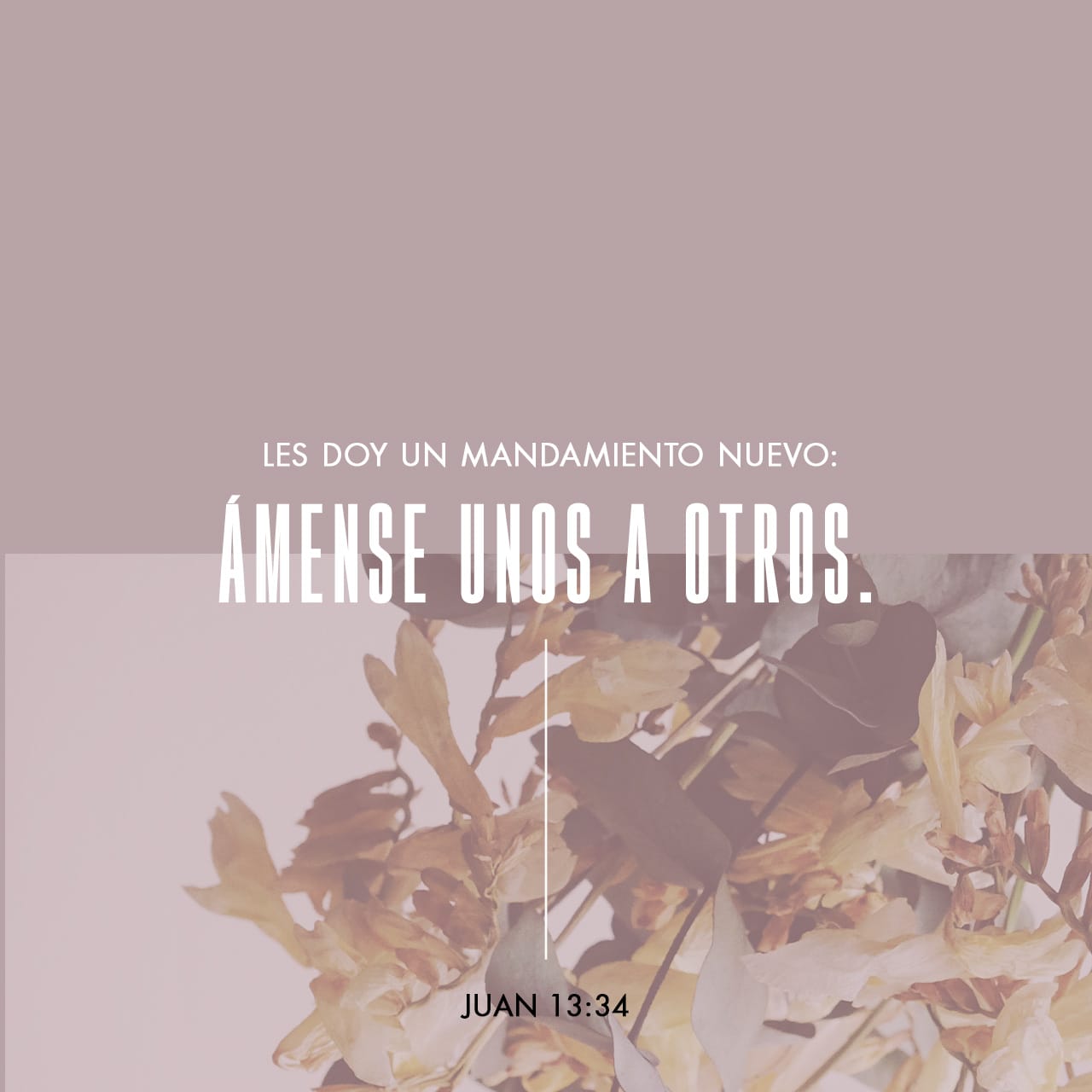 S. Juan 13:34-35 Un mandamiento nuevo os doy: Que os améis unos a otros ...