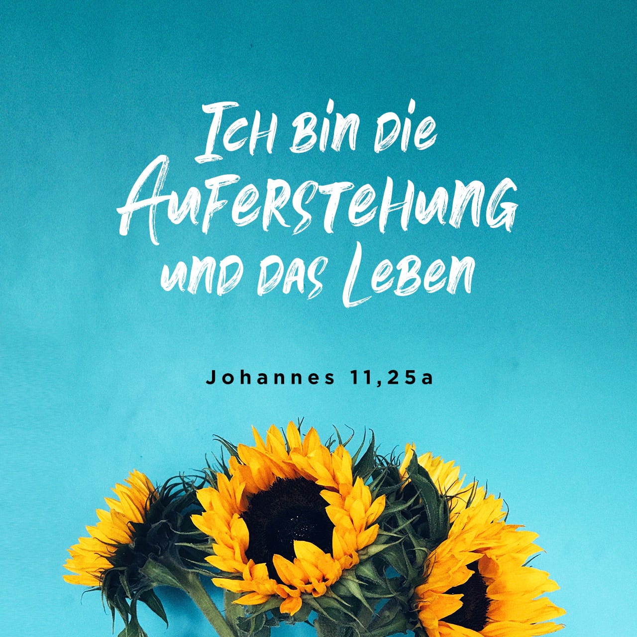 Johannes 112526 Darauf erwiderte ihr Jesus »Ich bin die Auferstehung, und ich bin das Leben