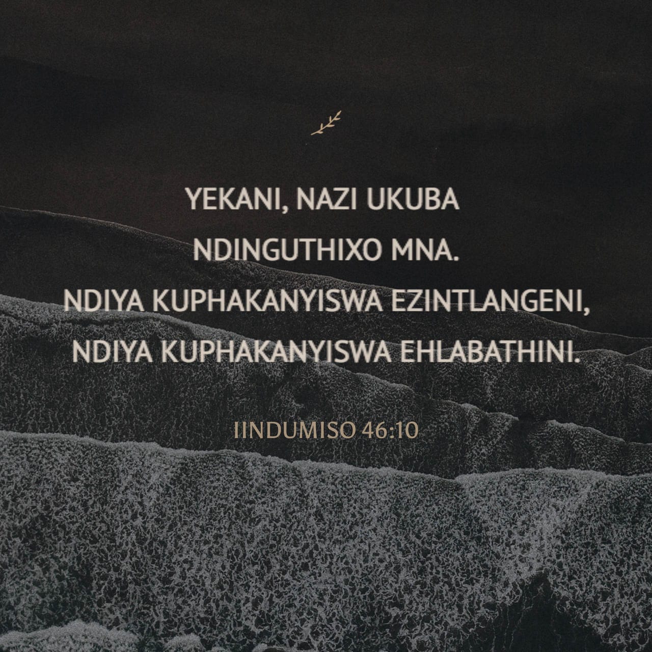 Ibtidoiy odamlarning jinsiy aloqa fotosuratlari