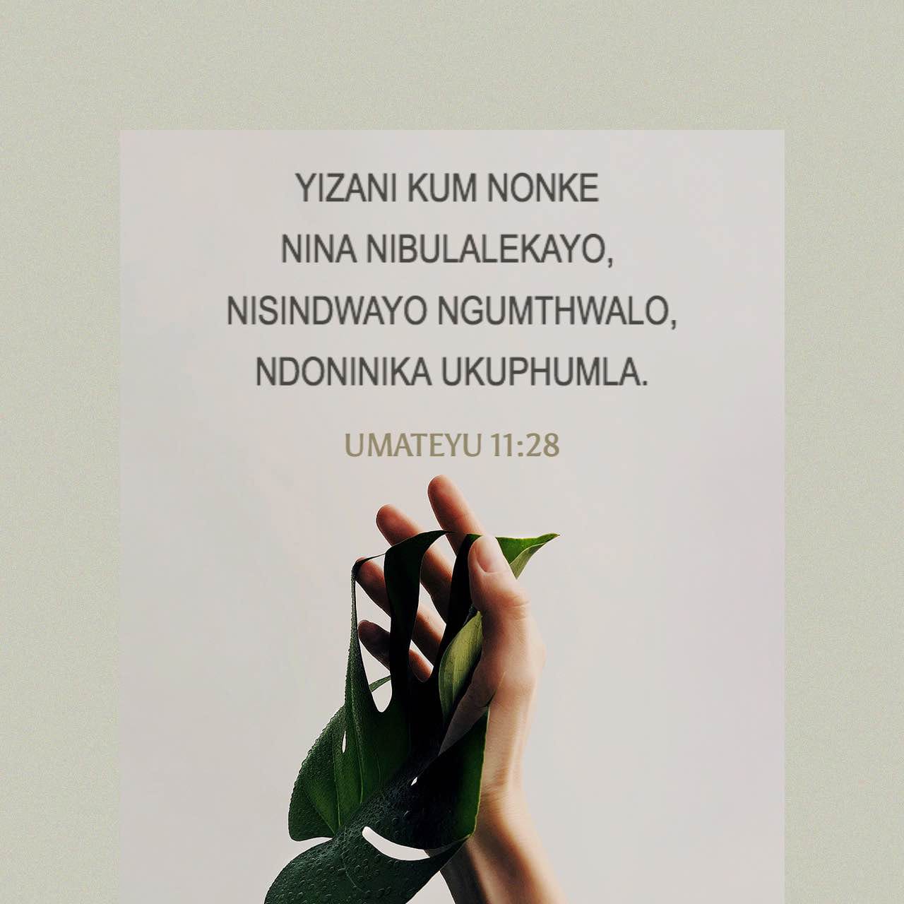 mast yalangoch bokira qizlar