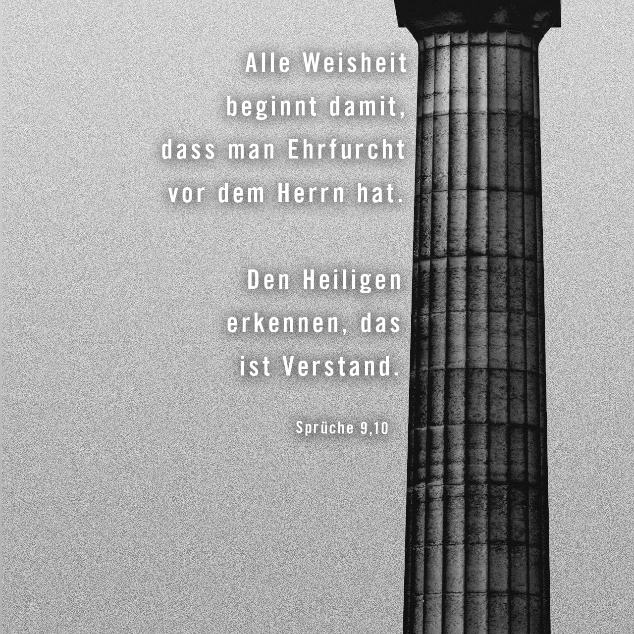 Get Status sprueche verachtung For iPhone