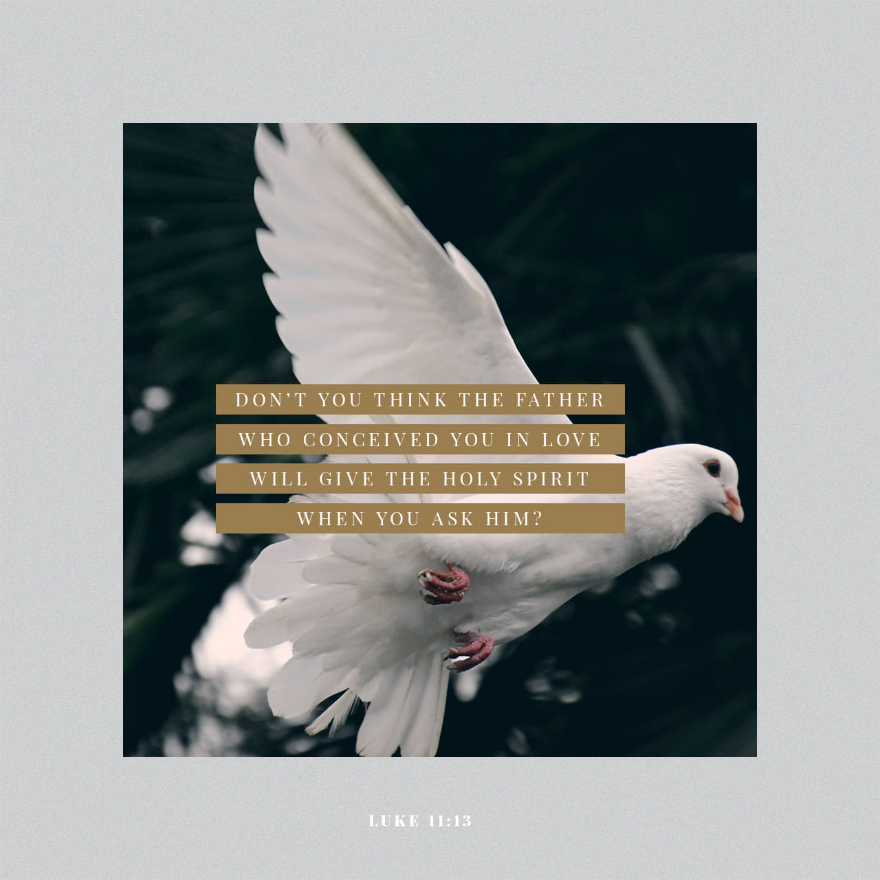 Luke 11 9 13 Meaning Luke 11 9 13 Meaning
