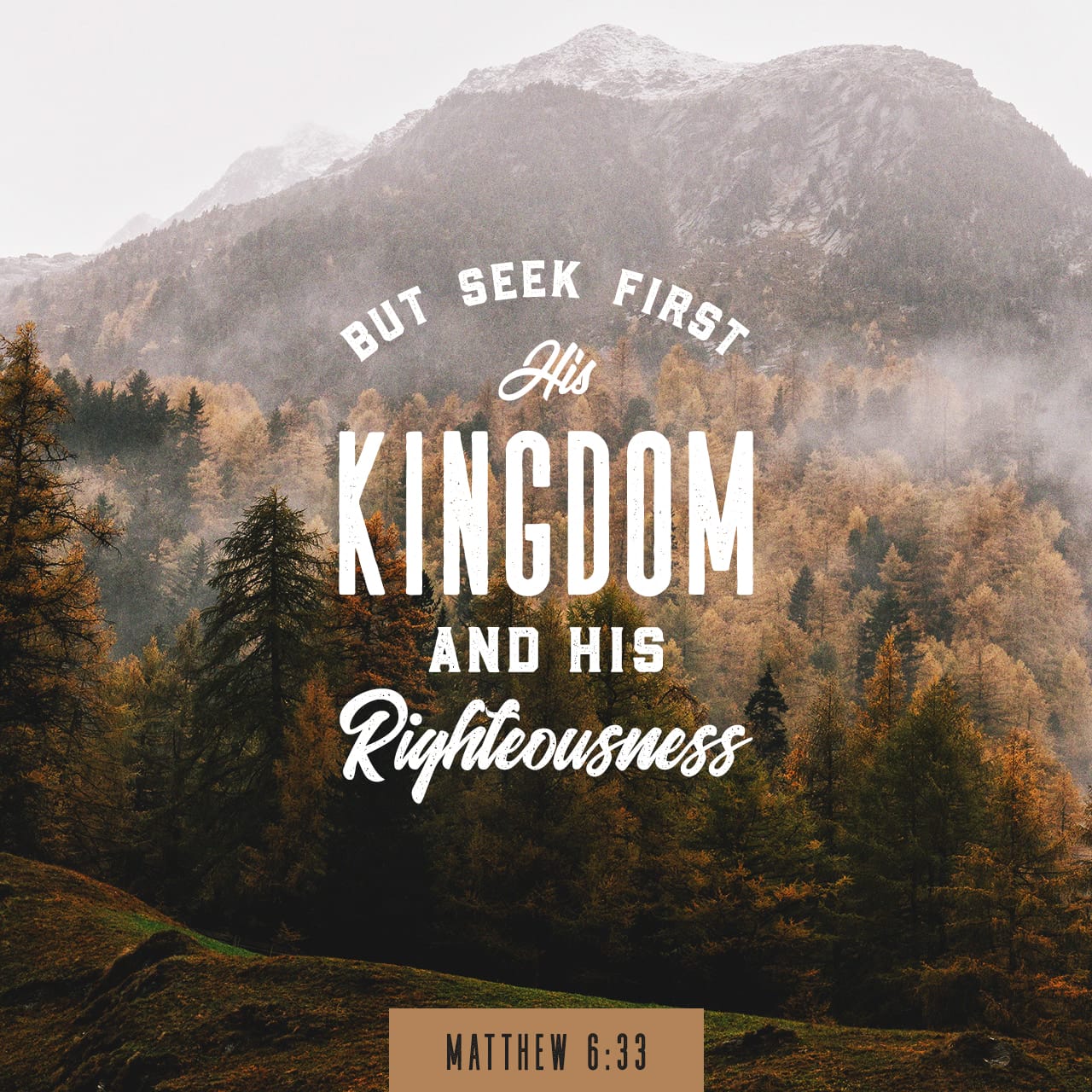 Matthew 6:33 But seek first his kingdom and his righteousness, and ...