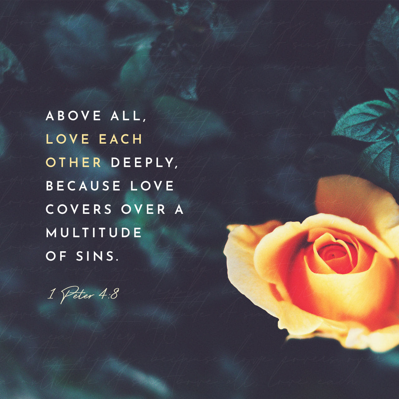1 Peter 4 8 And Above All Things Have Fervent Charity Among Yourselves 