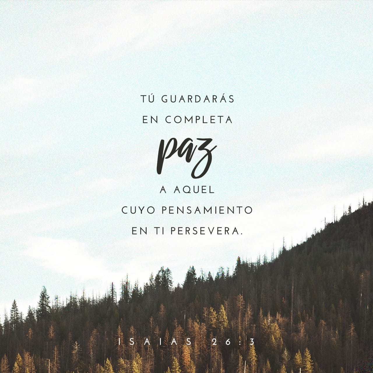 isa-as-26-3-4-t-guardar-s-en-completa-paz-a-aquel-cuyo-pensamiento-en