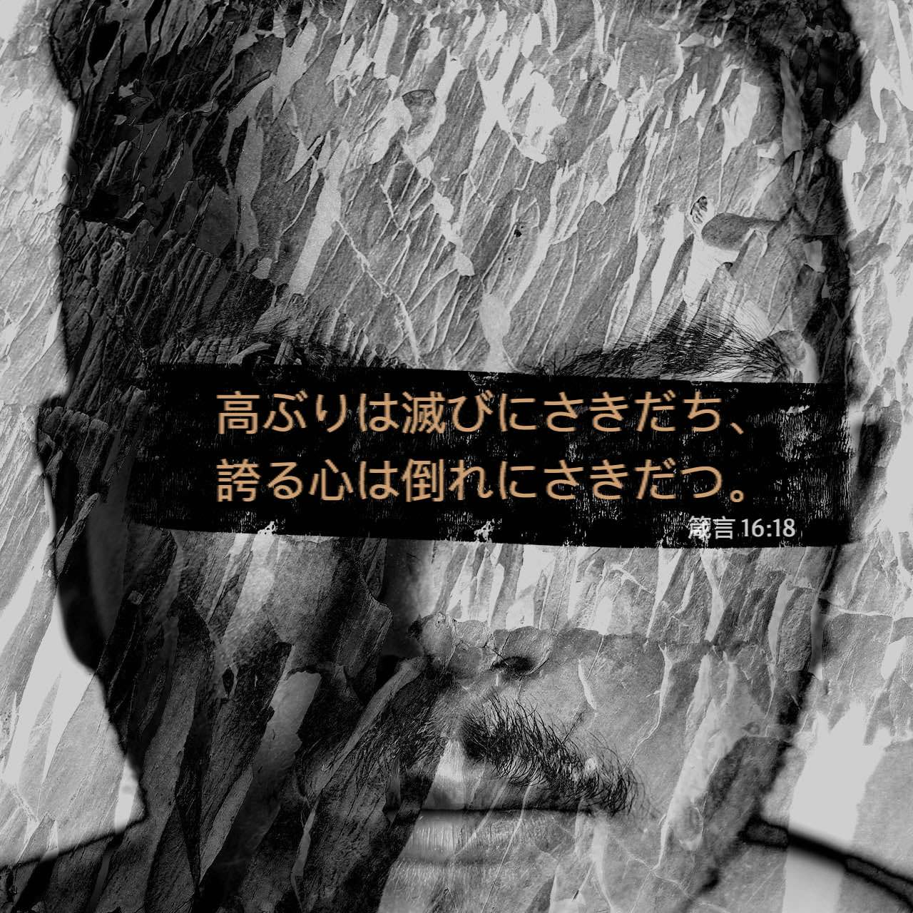 箴言 16:18 高ぶりは滅びにさきだち、 誇る心は倒れにさきだつ