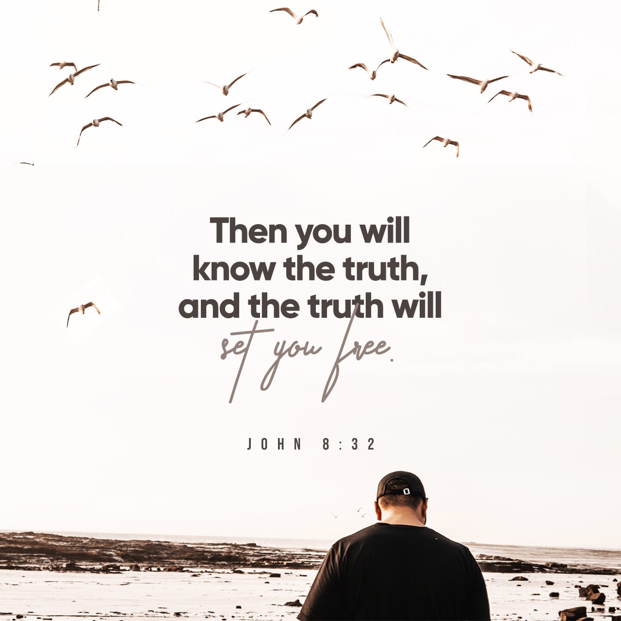 John 8 32 Then You Will Know The Truth And The Truth Will Set You Free New International Version Niv Download The Bible App Now