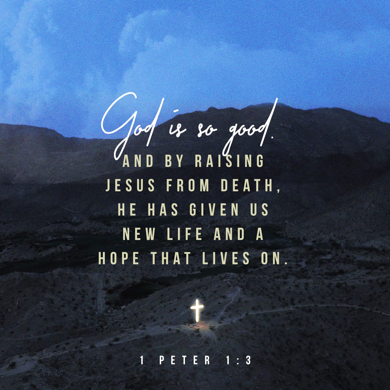 1 Peter 1:3 Blessed be the God and Father of our Lord Jesus Christ, which according to his abundant mercy hath begotten us again unto a lively hope by the resurrection of Jesus Christ from the dead | King James Version (KJV) | Download The Bible App Now