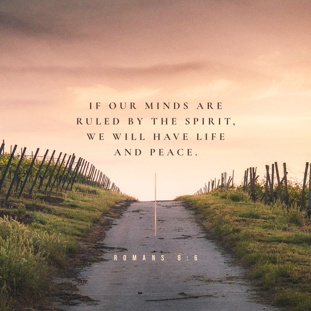 Romans 8 6 8 For To Be Carnally Minded Is Death But To Be Spiritually 
