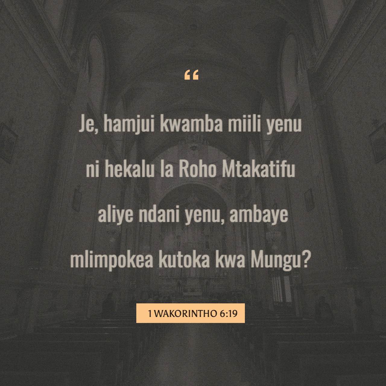 Hardkor seks partiyasi onlayn