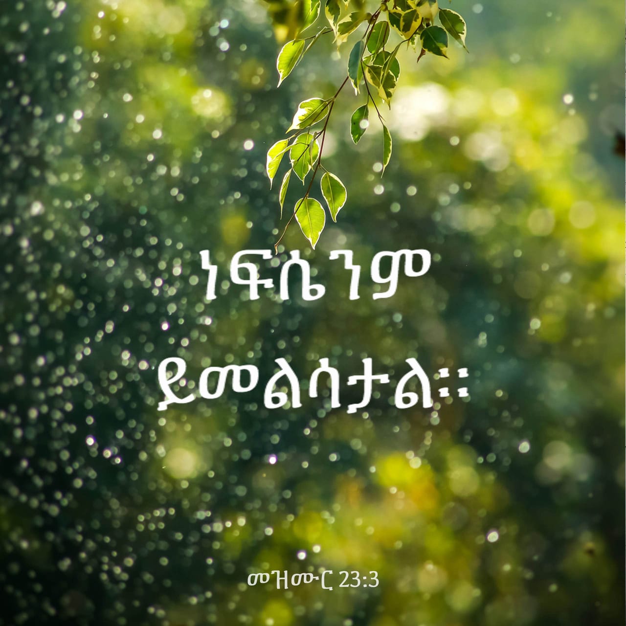 psalms-23-3-he-restoreth-my-soul-he-leadeth-me-in-the-paths-of