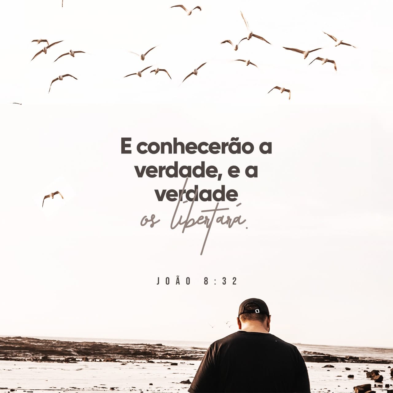 João 8:32 e conhecereis a verdade, e a verdade vos libertará. | Almeida ...