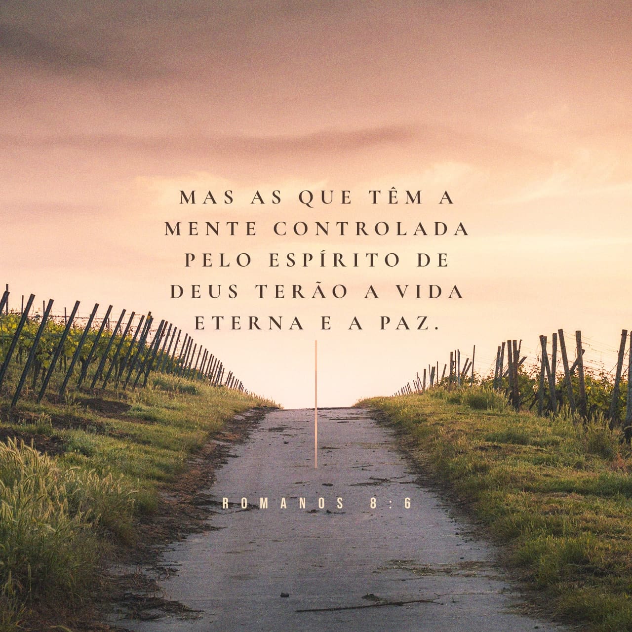 Romanos 8:6-8 A mentalidade da carne é morte, mas a mentalidade do ...