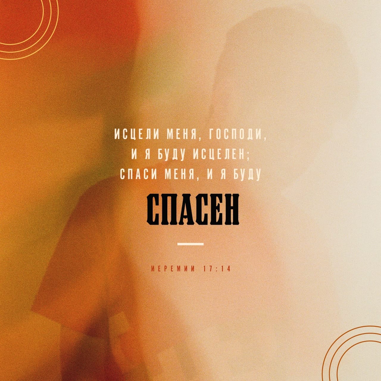 Төмен кесілген іш киімдегі жетілген әйелдердің жеке суреттері Порнодағы әдемі қыздар сорылады