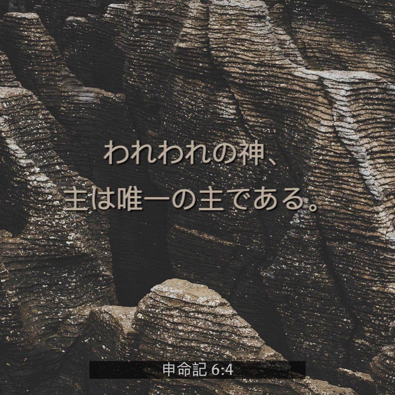 申命記 (現代聖書注解) 申命記 (VTJ旧約聖書注解) | 鈴木佳秀 |本 | 通販 | Amazon