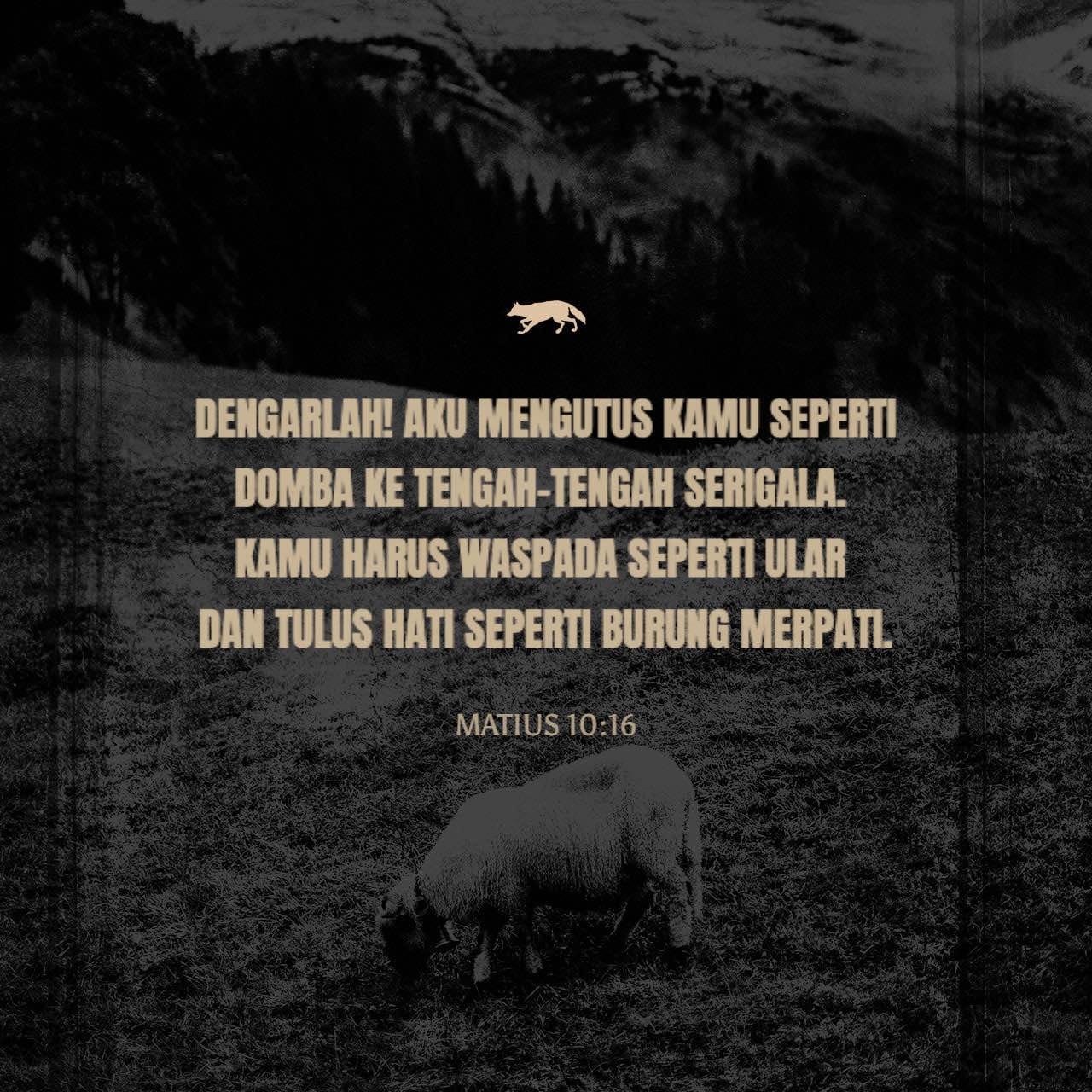 Tasmali HD lezbiyen anal porno