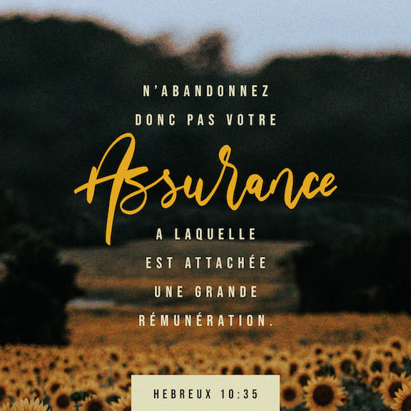 Lettre aux Hébreux 10:35-39 Alors ne perdez pas votre confiance, grâce à elle, vous recevrez une grande récompense. Vous avez besoin de patience pour faire ce que Dieu veut et obtenir ce