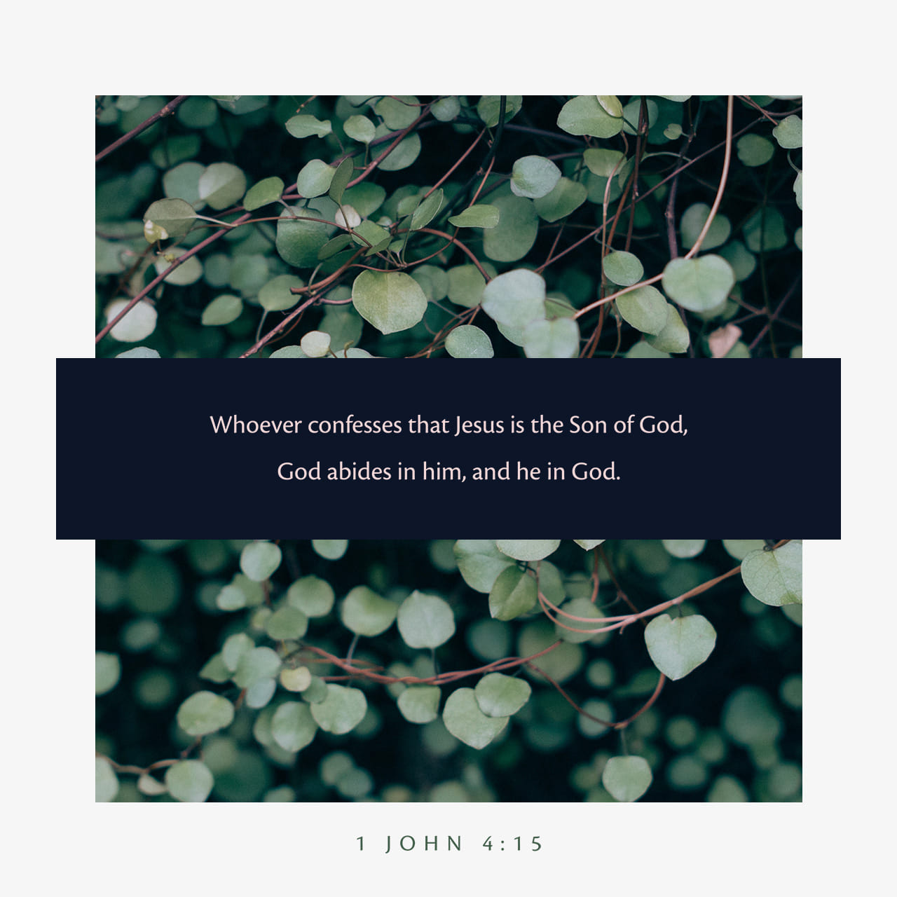 1 John 4:14-15 And we have seen and do testify that the Father sent the Son to be the Saviour of the world. Whosoever shall confess that Jesus is the Son of God, God dwelleth in him, and he in God. | King James Version (KJV) | Download The Bible App Now