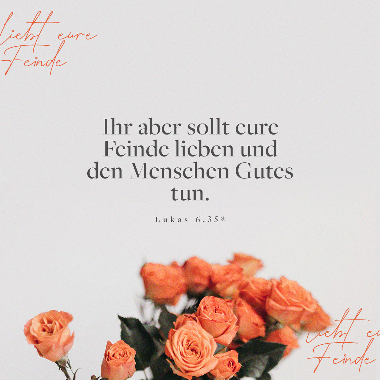 Lukas 63536 Ihr aber sollt eure Feinde lieben und den Menschen Gutes