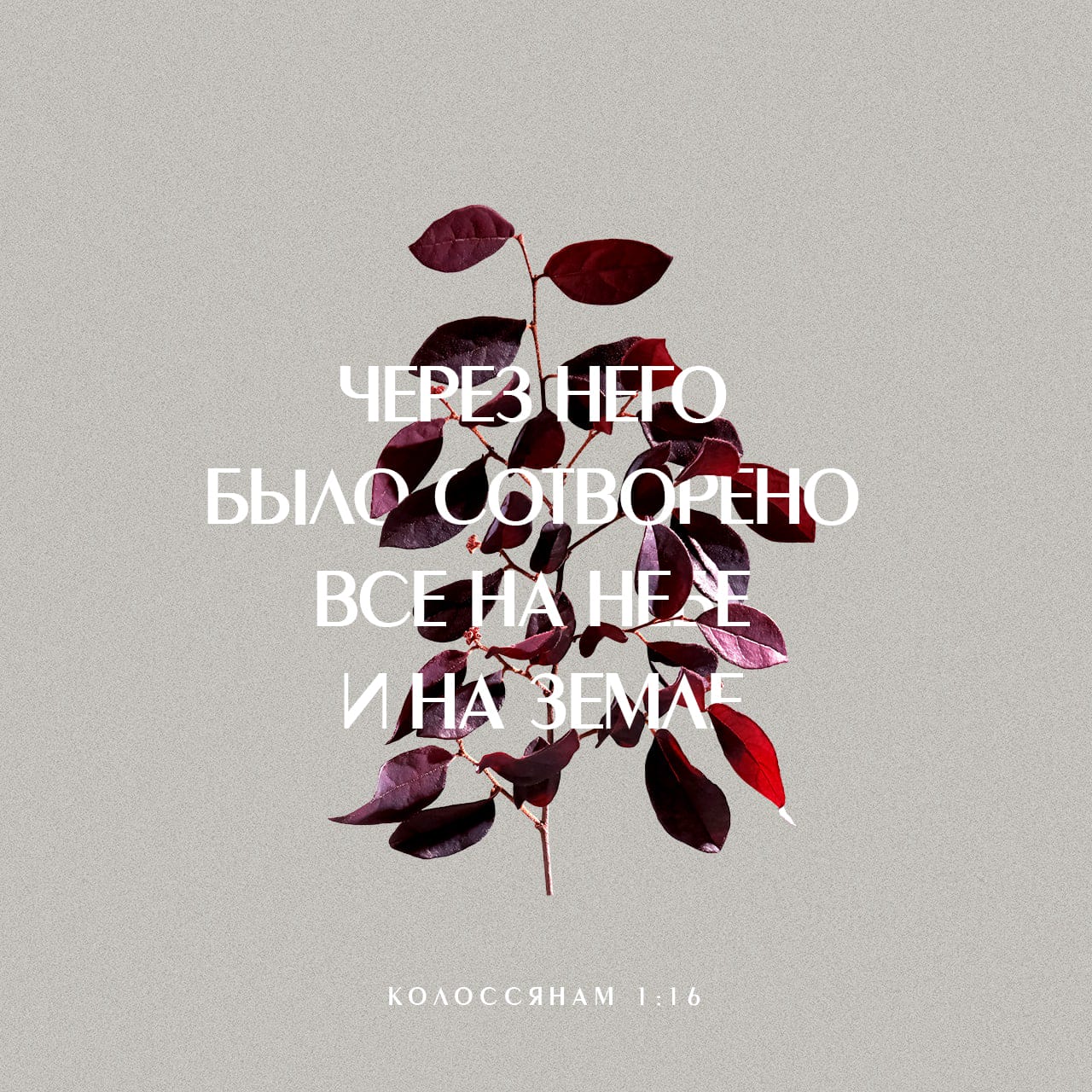 К Колоссянам 1:15-20 Он — зримое подобие незримого Бога, Он правит всем  сущим, потому что всё на небе и на земле было создано Им, то, что зримо и  что незримо: будь то