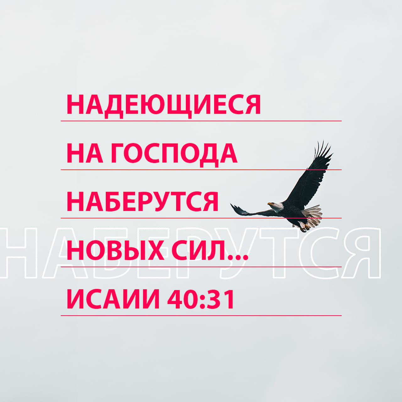 А надеющиеся на господа обновятся в силе поднимут крылья как орлы картинки