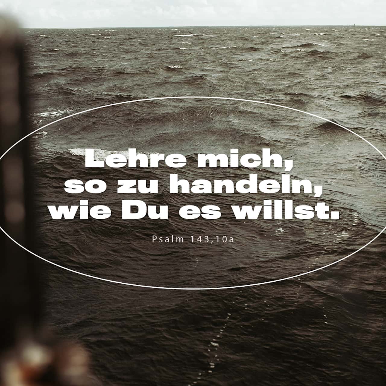 Psalm 14310 Lehre mich, so zu leben, wie du es willst, denn du bist