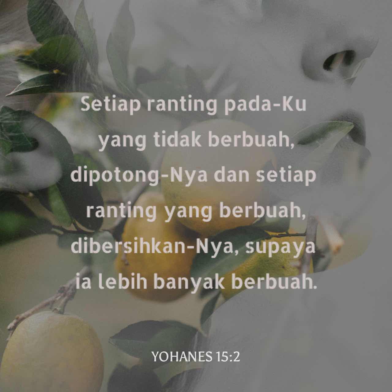 Yohanes 15:2 Setiap Ranting Pada-Ku Yang Tidak Berbuah, Dipotong-Nya ...