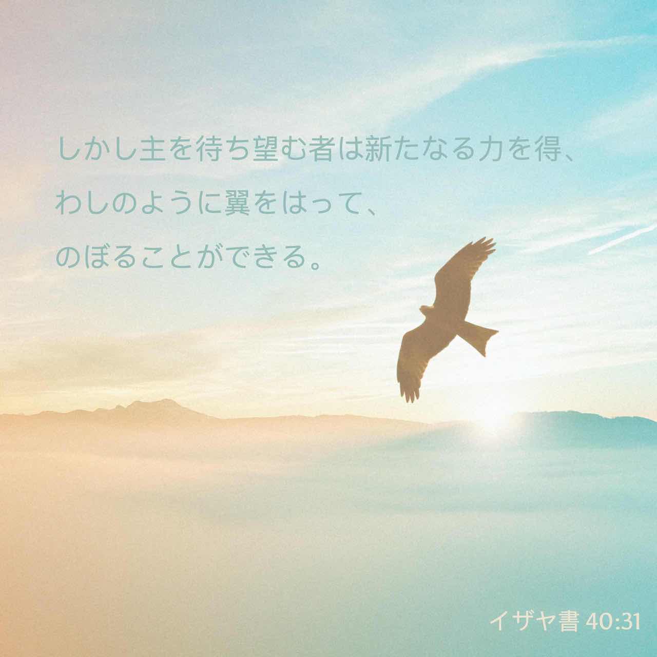 イザヤ書 40 28 31 あなたは知らなかったか あなたは聞かなかったか 主はとこしえの神 地の果の創造者であって 弱ることなく また疲れることなく その知恵ははかりがたい 弱った者には力を与え 勢いのない者には強さを増し加えられる 年若い者も弱り かつ疲れ