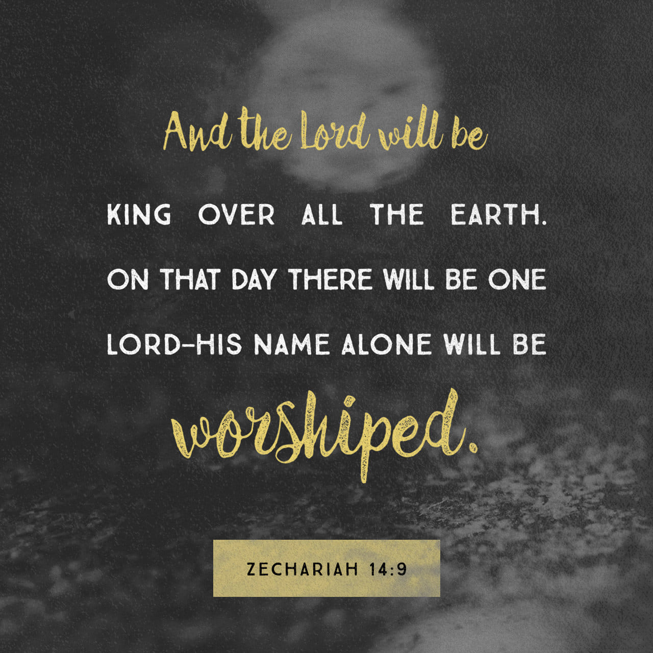 【bible】14点おまとめ 1280x1280.jpg
