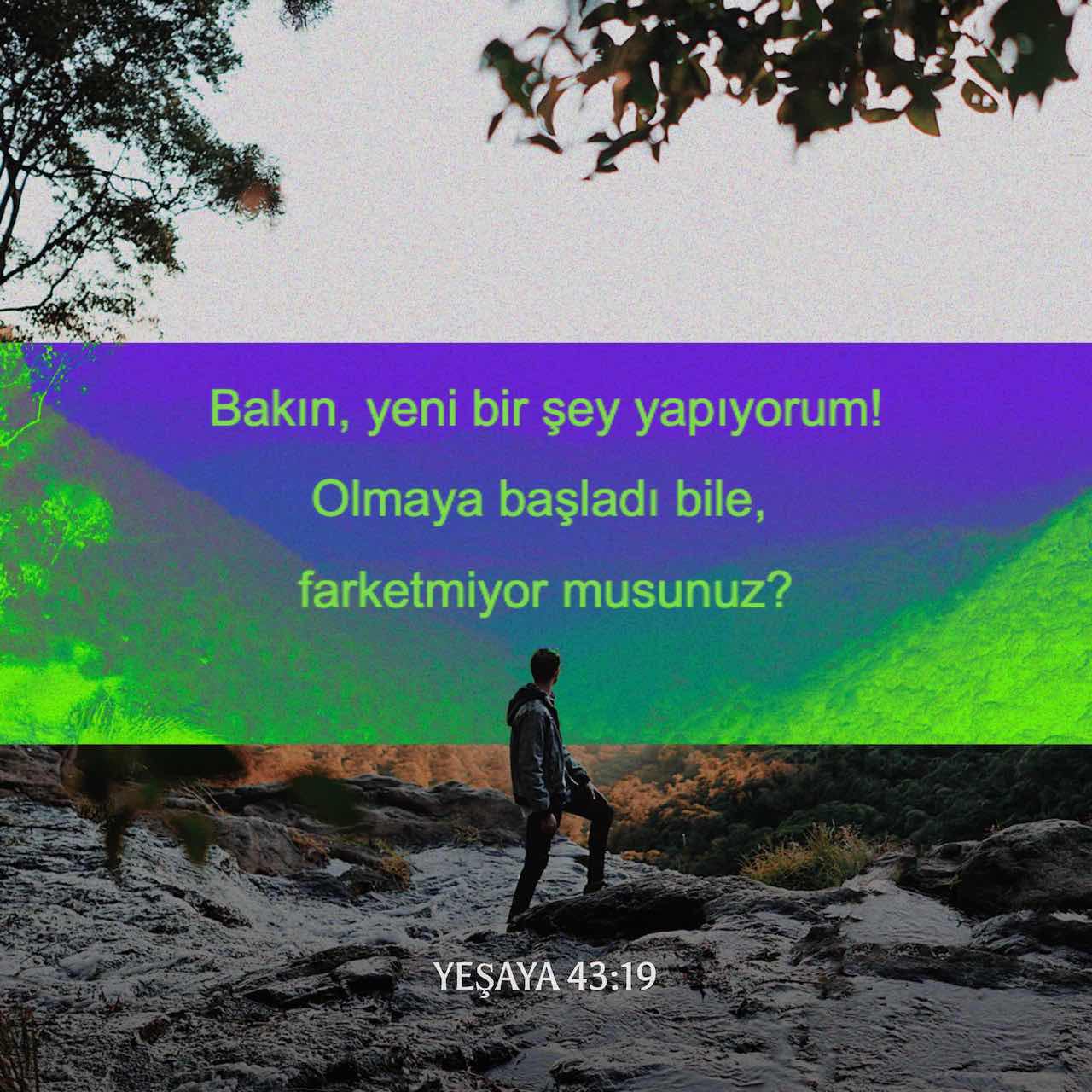 Katta jinsiy olatni uchun jinsiy pozitsiyalar