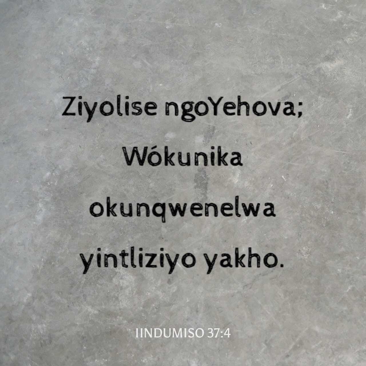 Yovvoyi ona oglining qozini soradi