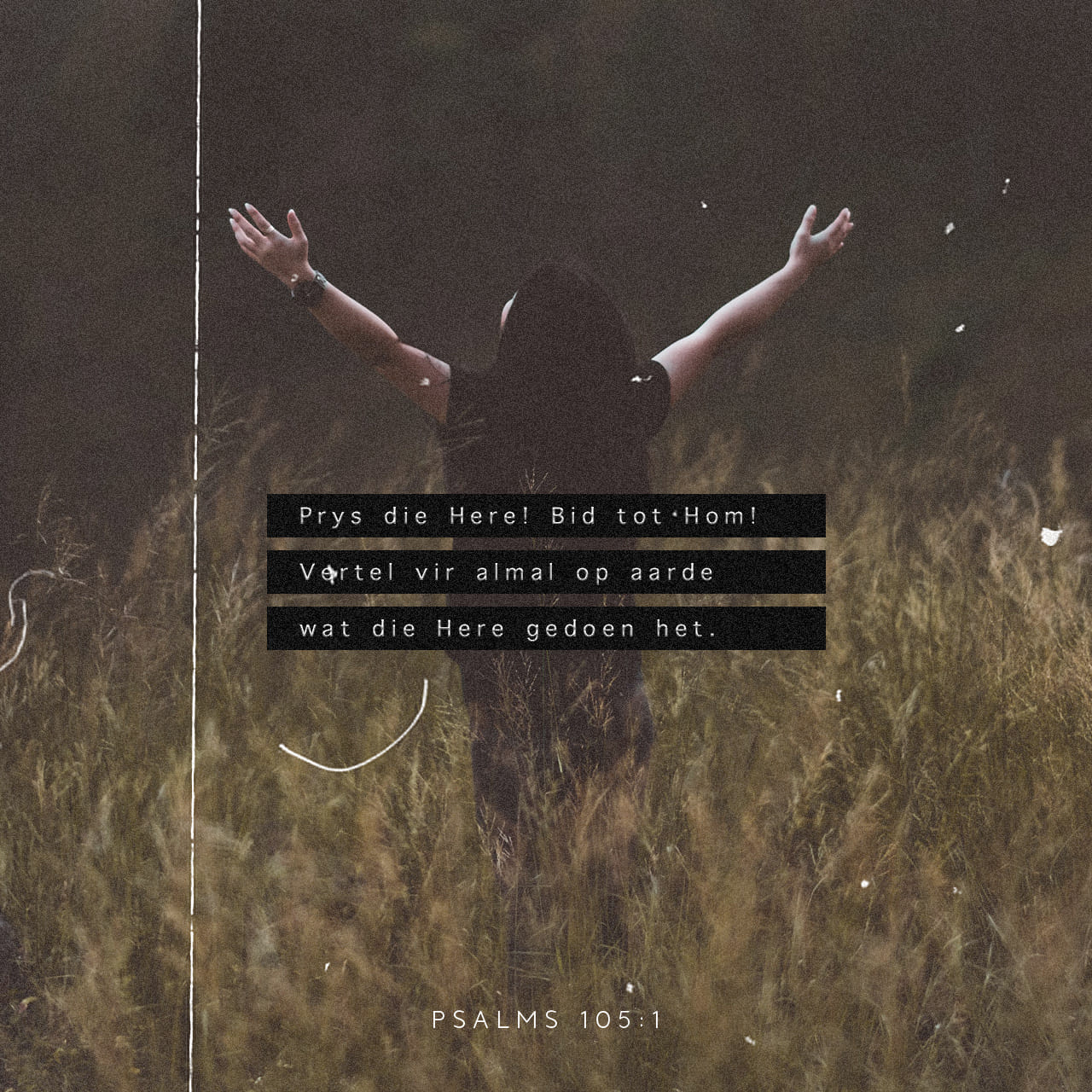 PSALMS 105 2 Sing Psalmsing Tot Sy Eer Spreek Van Al Sy Wonders psalms-105-2-sing-psalmsing-tot-sy-eer-spreek-van-al-sy-wonders